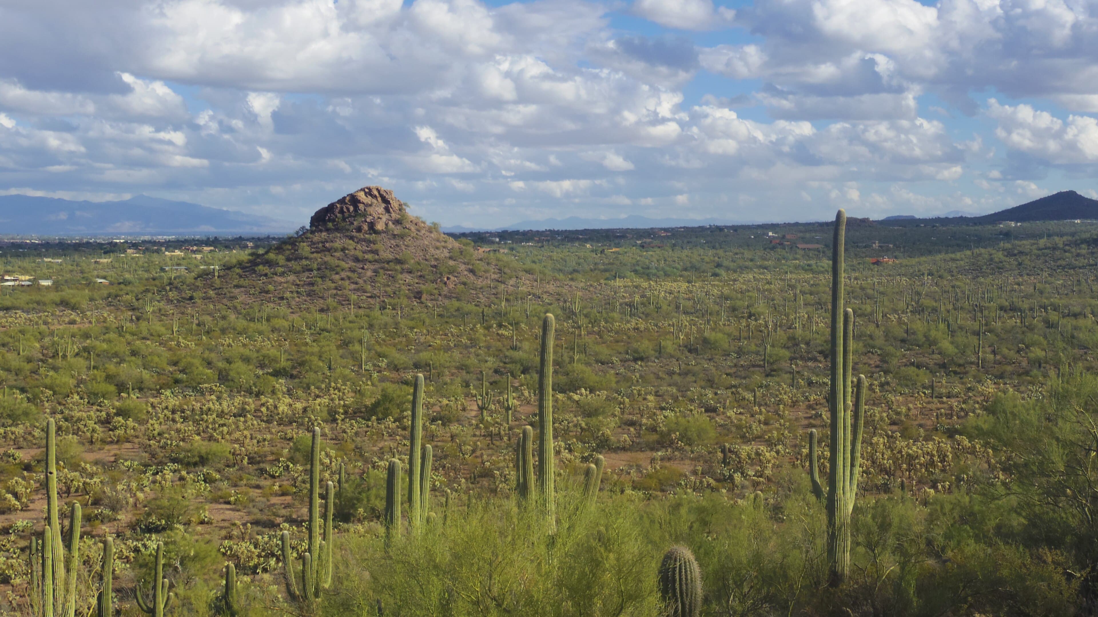 Tucson