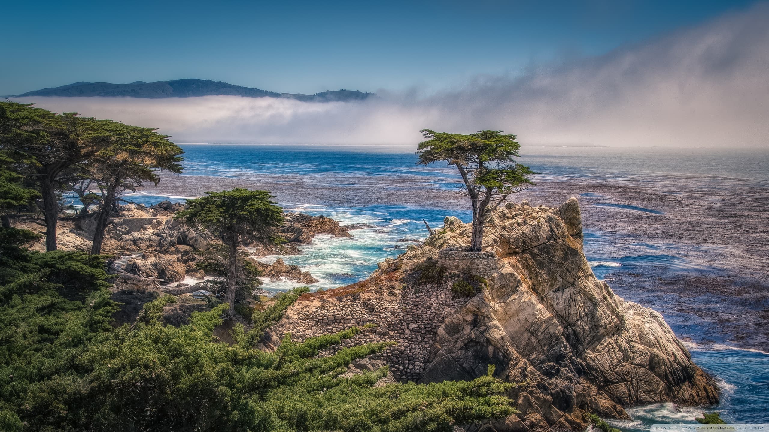 Monterey & Carmel