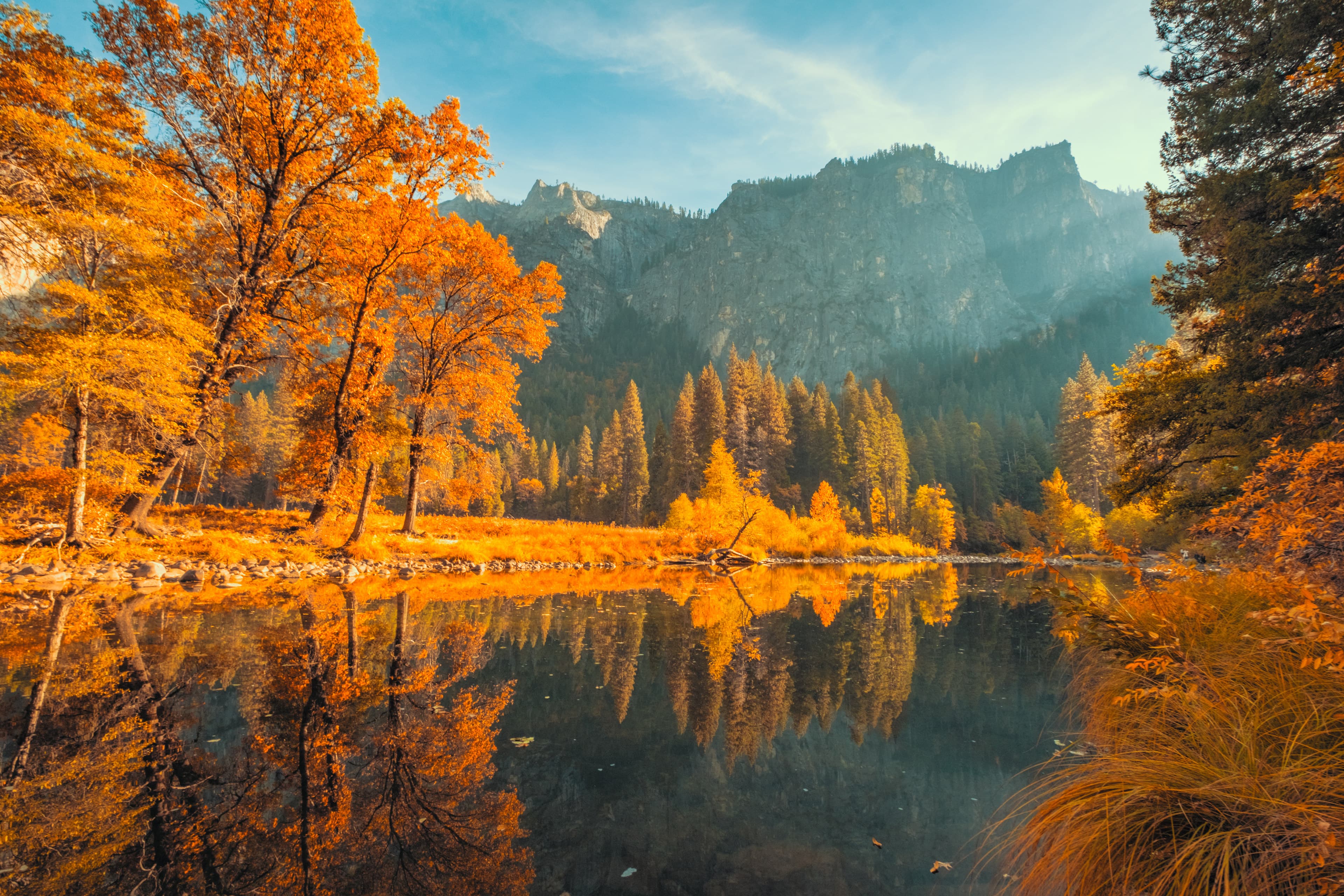 The Merced River on the floor of Yosemite Valley in autumn, with granite walls rising behind the treeline