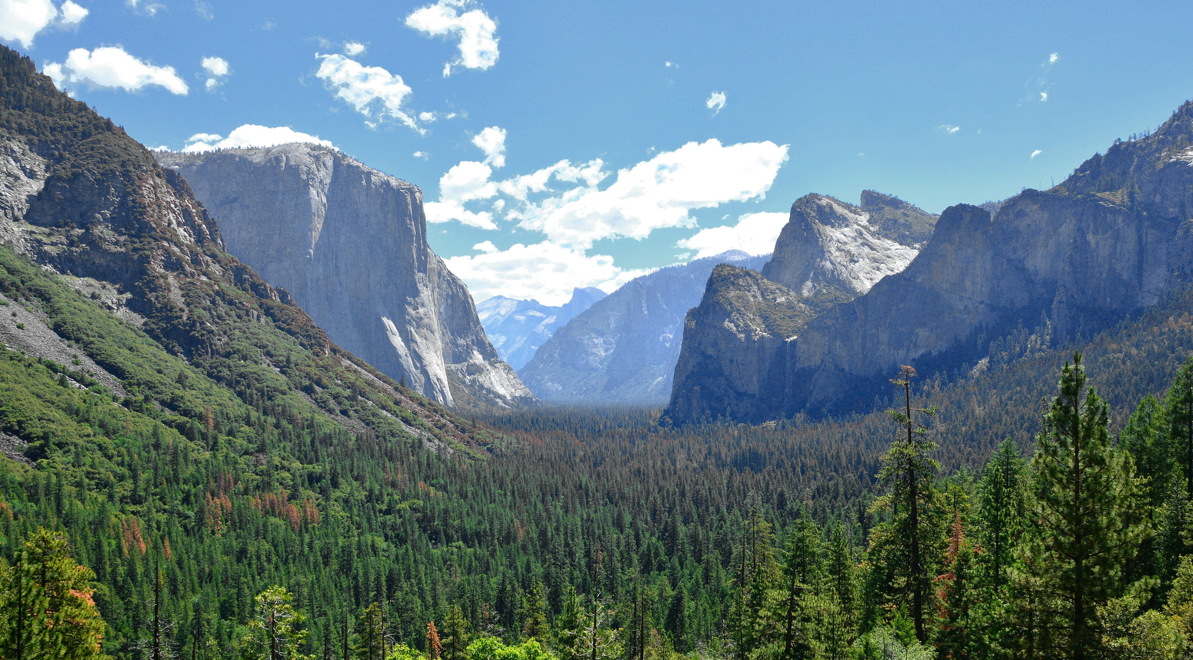 Yosemite National Park Day Experience