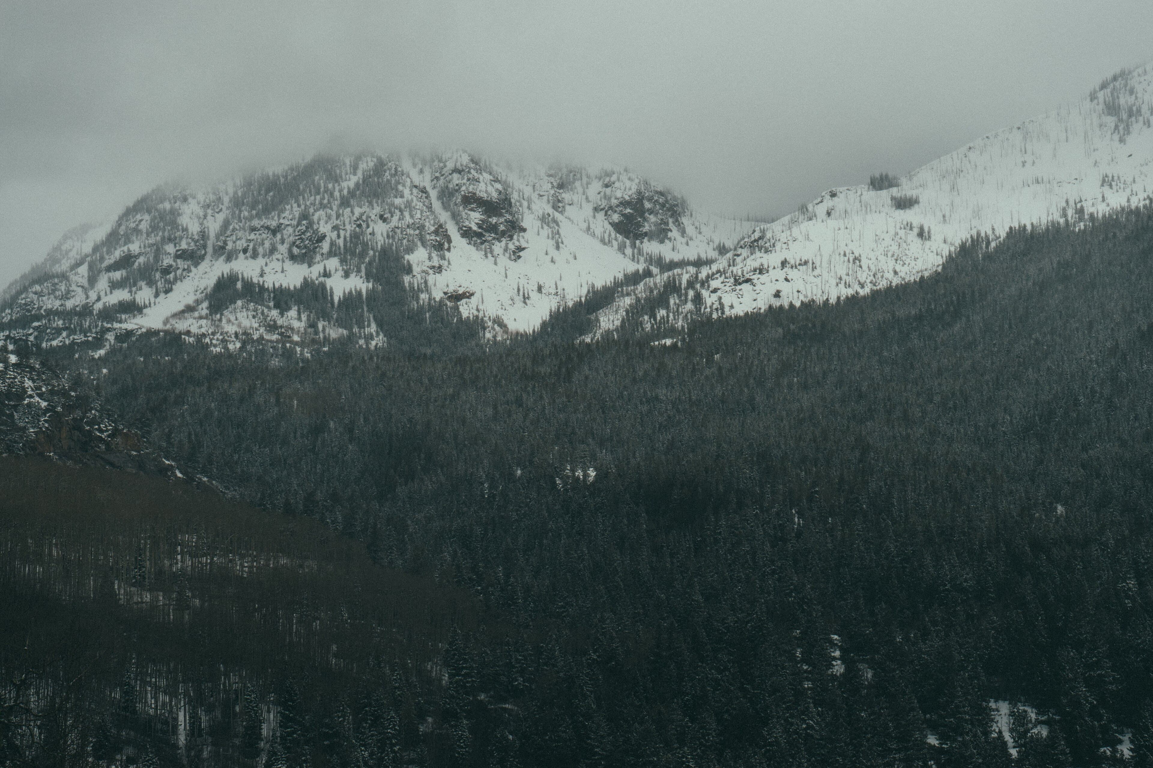 Aspen