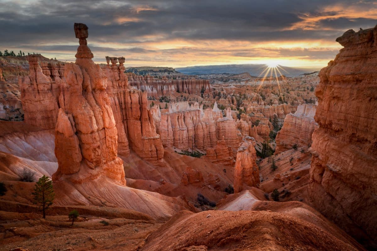 Thor's Hammer hoodoo along the Navajo Loop Trail in Bryce Amphitheater